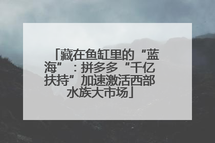 藏在鱼缸里的“蓝海”：拼多多“千亿扶持”加速激活西部水族大市场